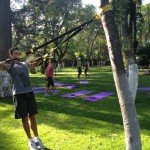 Boom Elastiek Training