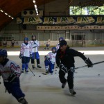 Coach en Spelers